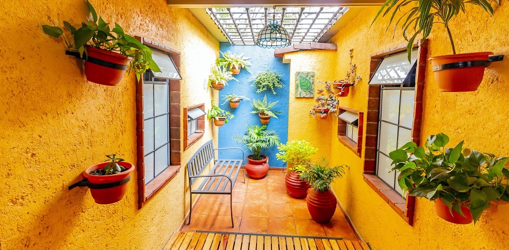Mexsuites Casa Azul Bed and Breakfast Mexico City